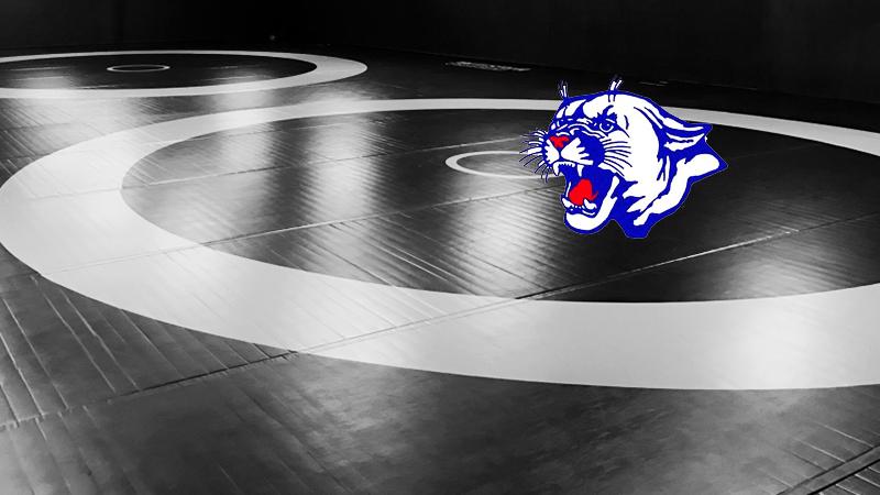 Image with missing alt attribute found on wissports.net