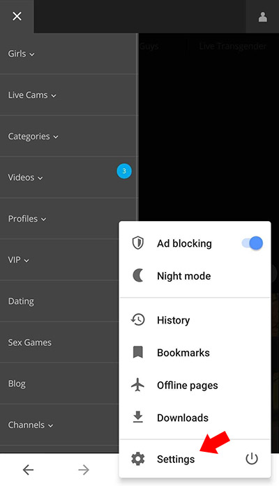 opera cam2cam step 2