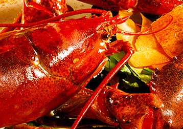 Image with missing alt attribute found on charlestonseafood.com