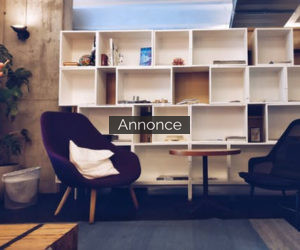 Image with missing alt attribute found on chart.dk