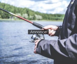 Image with missing alt attribute found on chart.dk