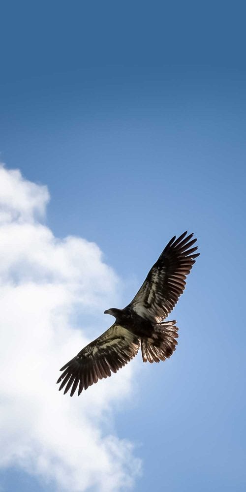 Image with missing alt attribute found on chasebuchanan.com