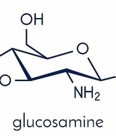 Глюкозамин