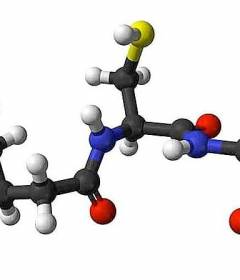 Антиоксиданты