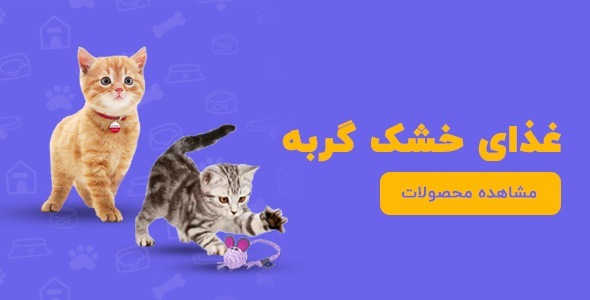 غذای خشک گربه