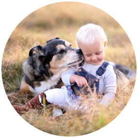 Image with missing alt attribute found on childrenshealthdefense.org