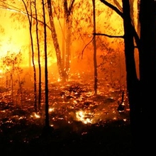 Image with missing alt attribute found on davesgarden.com