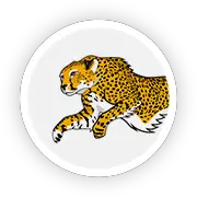 Image with missing alt attribute found on clickspeedtest.com