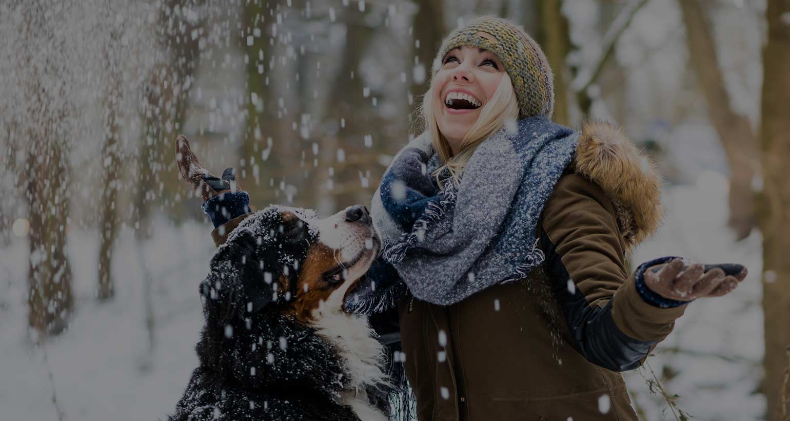 Image with missing alt attribute found on myconsumers.org