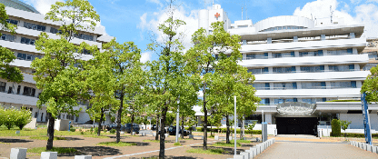 Image with missing alt attribute found on clinicjarahi.ir