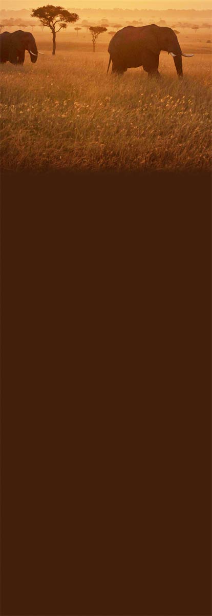 Image with missing alt attribute found on safaribookings.com