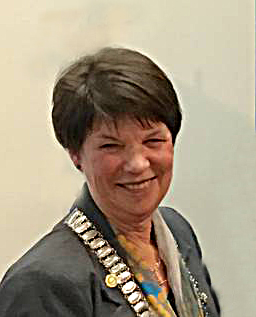 Image with missing alt attribute found on rotary9930.org