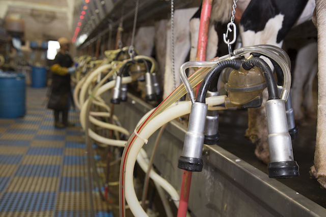 Image with missing alt attribute found on hoards.com