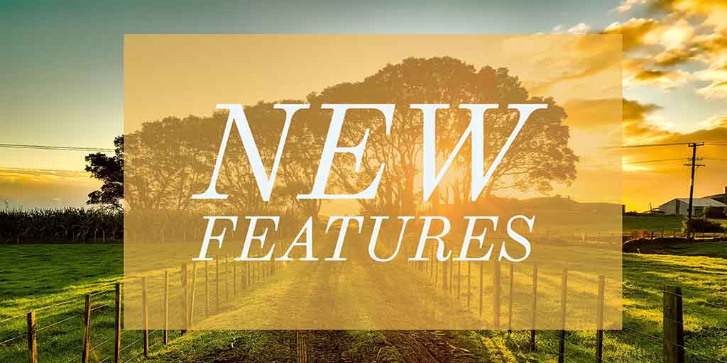 Using Component Placeholders While Loading Data