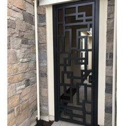 Cửa sắt 1 c&aacute;nh