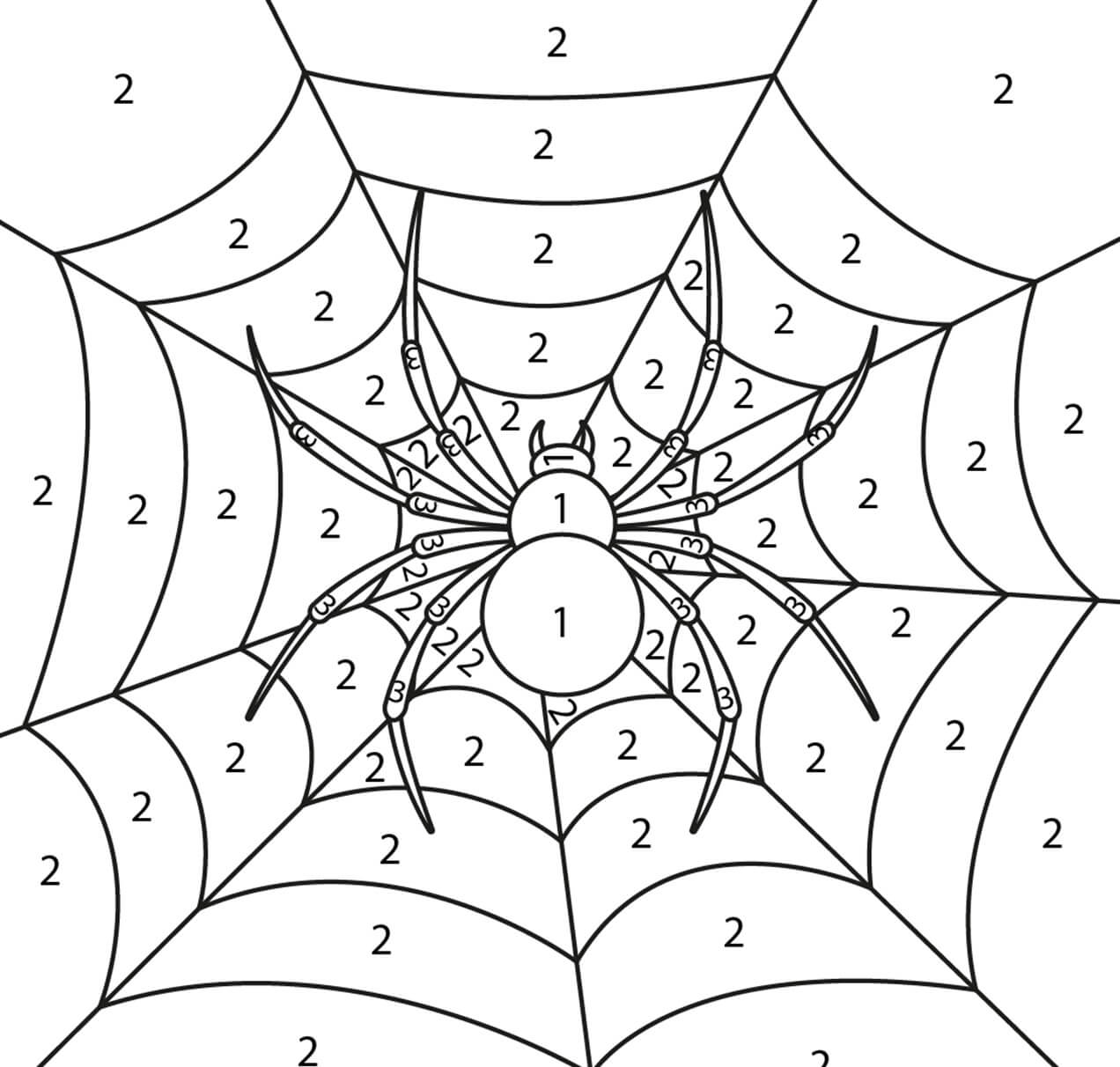 Spider Color By Number
