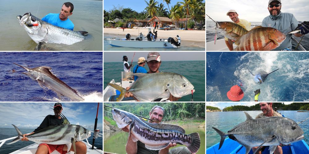 D&eacute;couvrez le mat&eacute;riel pour la p&ecirc;che exotique !