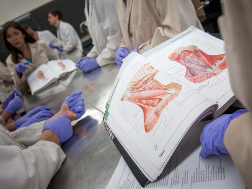 Image with missing alt attribute found on cord.edu