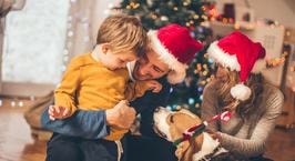 Image with missing alt attribute found on onliner.by