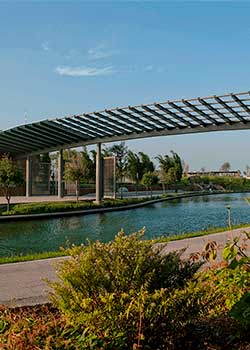 Image with missing alt attribute found on vivaaerobus.com