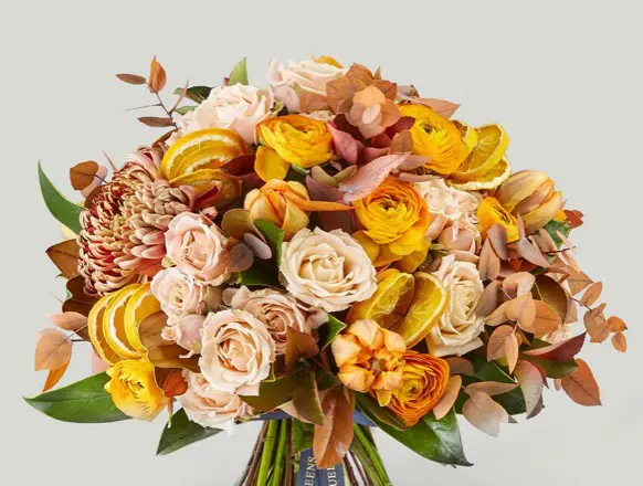 Image with missing alt attribute found on coventgardenuae.com