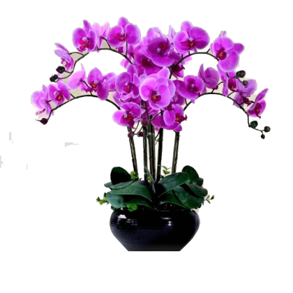 Image with missing alt attribute found on coventgardenuae.com