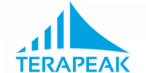 Crazylister featured on Terapeak as the best eBay templates solution