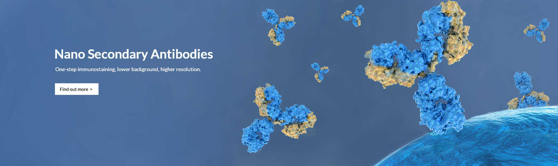 Image with missing alt attribute found on creative-diagnostics.com