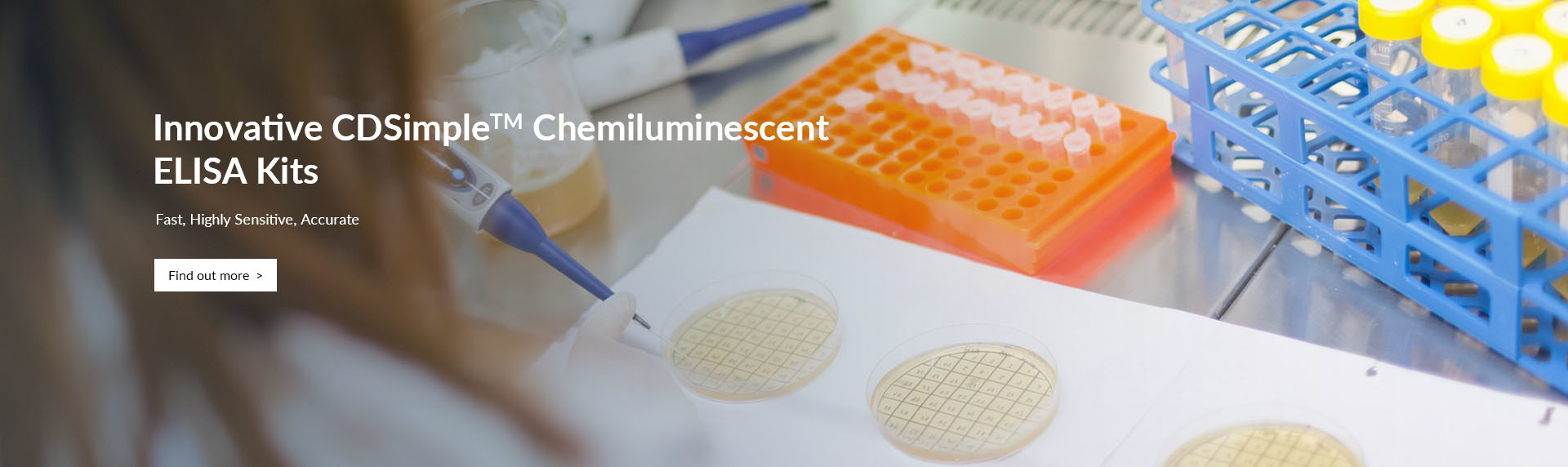 Image with missing alt attribute found on creative-diagnostics.com