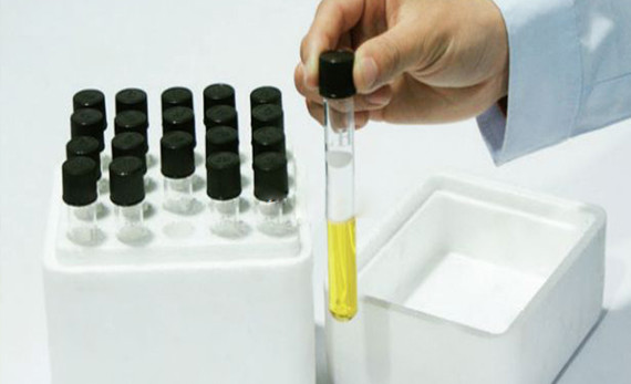 Image with missing alt attribute found on creative-diagnostics.com