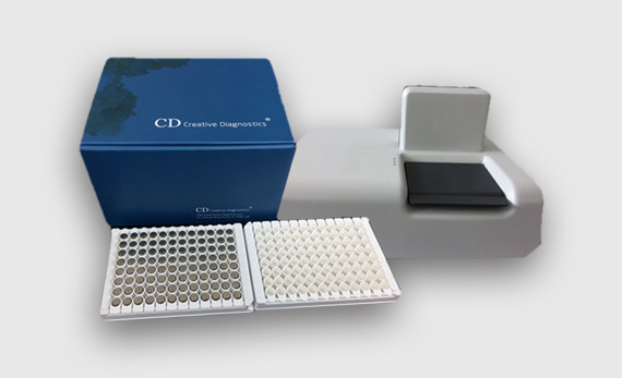 Image with missing alt attribute found on creative-diagnostics.com