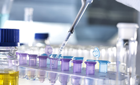 Image with missing alt attribute found on creative-diagnostics.com