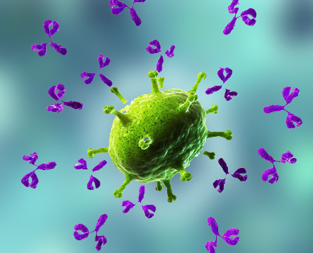 Image with missing alt attribute found on creative-diagnostics.com