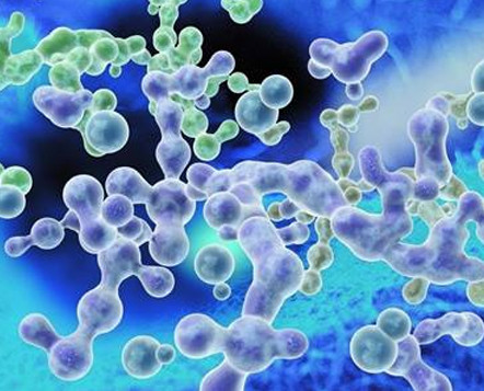 Image with missing alt attribute found on creative-diagnostics.com