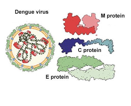 Image with missing alt attribute found on creative-diagnostics.com