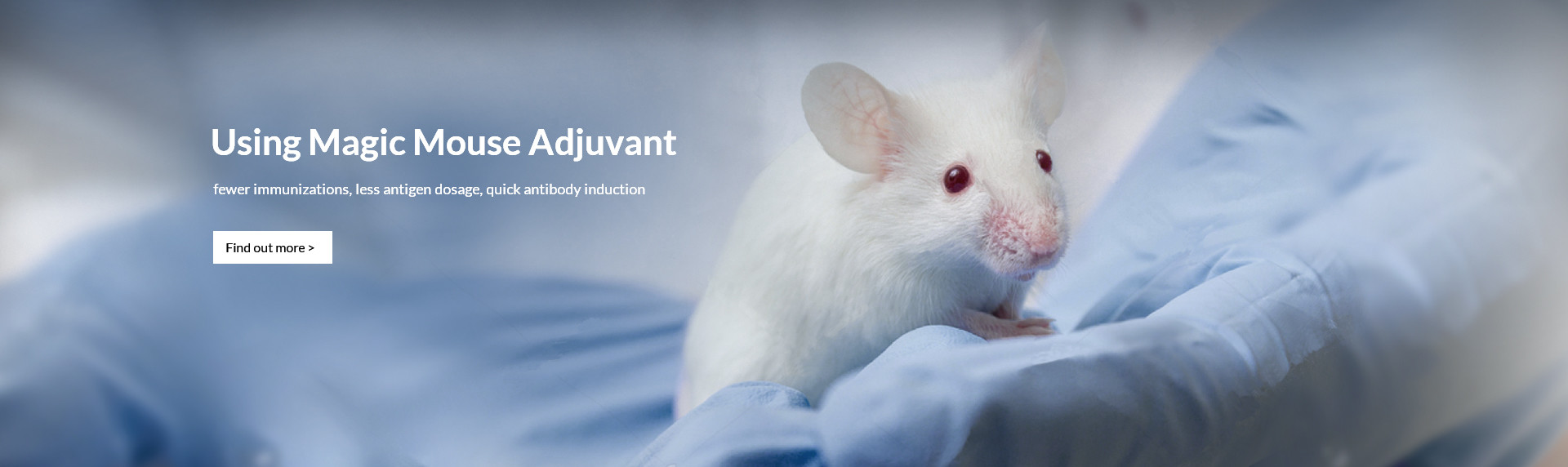 Image with missing alt attribute found on creative-diagnostics.com