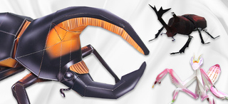 Image with missing alt attribute found on creativepark.canon