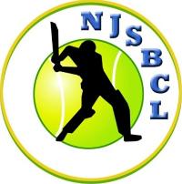 Image with missing alt attribute found on cricclubs.com