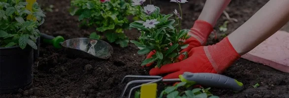 Image with missing alt attribute found on cucinaecasa.com