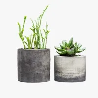 Image with missing alt attribute found on cucinaecasa.com