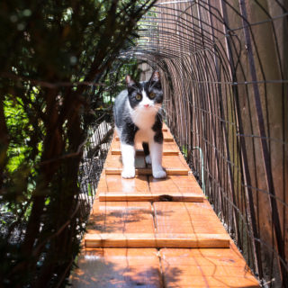 Image with missing alt attribute found on cuckoo4design.com