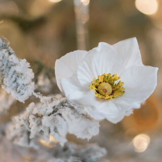 Image with missing alt attribute found on cuckoo4design.com