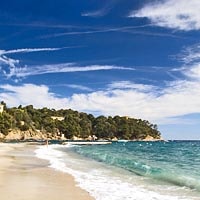 Image with missing alt attribute found on cybevasion.fr