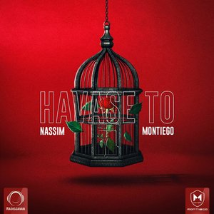 Image with missing alt attribute found on radiojavan.com