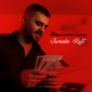 Image with missing alt attribute found on api-rjvn.app