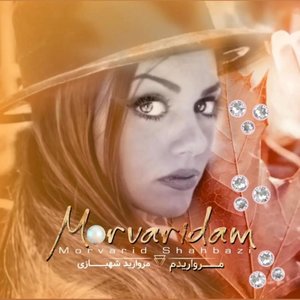 Image with missing alt attribute found on api-rjvn.app