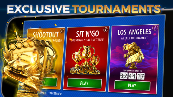 Image with missing alt attribute found on pokerist.com