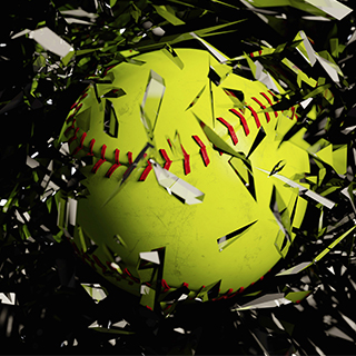 Image with missing alt attribute found on esoftplanner.com