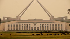 Video Thumbnail newsy