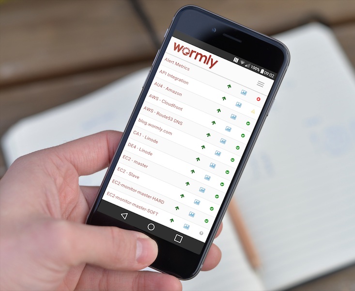 Image with missing alt attribute found on wormly.com